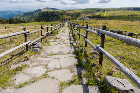 Beautiful landscape road  view of Utsukushigahara park ,Nagano , Japan.の写真素材