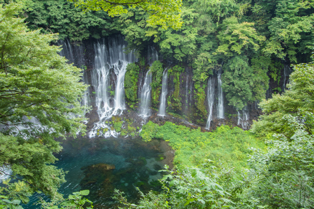 Shiraito waterfall near Mt. Fuji  in Fujinomiya  Prefecture, Japan .の写真素材