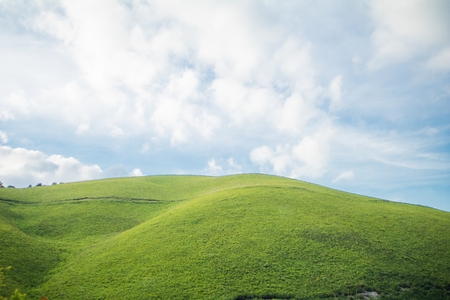 Beautiful  landscape view of green grass  with  sky  background in Utsukushigahara park is  one of the most important and popular natural place in Nagano Prefecture , Japan.の写真素材