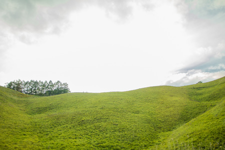 Beautiful  landscape view of green grass  with  sky  background in Utsukushigahara park is  one of the most important and popular natural place in Nagano Prefecture , Japan.の写真素材