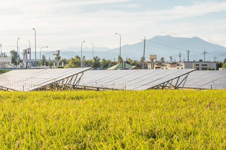 Solar power panels ,Photovoltaic modules for innovation green energy for life  Rice fields.の写真素材