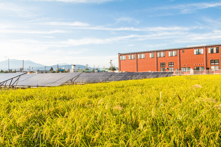 Solar power panels ,Photovoltaic modules for innovation and green grass with rice fields  energy for life with blue sky background.の写真素材