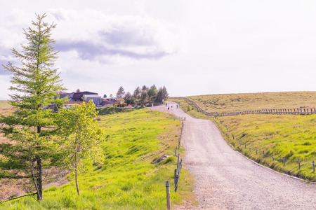 Beautiful  landscape view of  a country road and green grass with  sky  background of Utsukushigahara park is  one of the most important and popular natural place in Nagano Prefecture , Japan.の写真素材