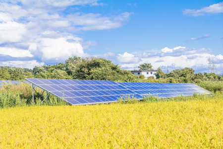 Solar power panels ,Photovoltaic modules for innovation green energy for life and rice field with blue sky background.の写真素材