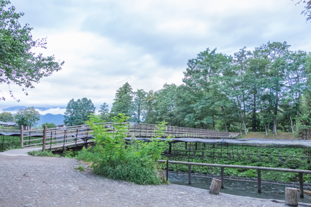 Wasabi farm in Nagano Prefecture, Japan.の写真素材