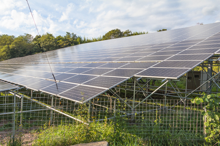 Solar panels ,Photovoltaic modules for innovation green energy for life.の写真素材
