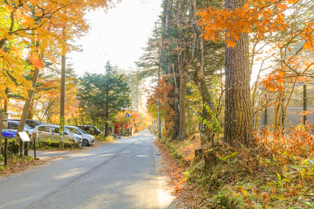 Karuizawa in Autumn ,Karuizawa is a mountain resort town and a shopping street  of Nagano Prefecture, Japan.の写真素材