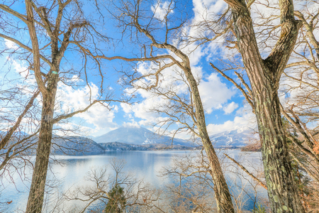 Beautiful fresh snow in winter around the mountains  Lake ,and tree  with blue sky  background, Nagano Prefecture, Japan.の写真素材