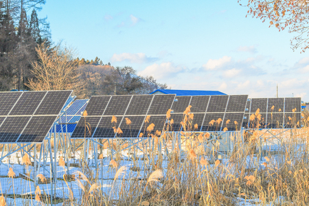 Solar power panels ,Photovoltaic modules for innovation green energy for life .の写真素材