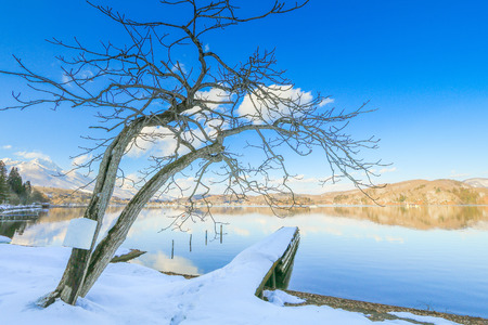 Beautiful fresh snow in winter around the mountains  Lake and tree  with blue sky  background, Nagano Prefecture, Japan.の写真素材