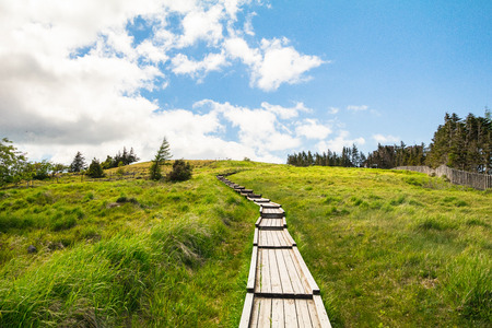 Beautiful landscape view and  Wooden stairs  of Utsukushigahara park,Nagano , Japan.の写真素材