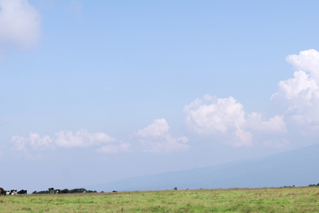 Beautiful landscape and clear blue sky with white clouds.の写真素材