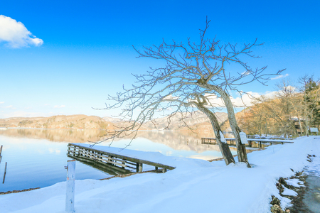Beautiful fresh snow in winter around the mountains  Lake ,and tree  with blue sky  background, Nagano Prefecture, Japan.の写真素材