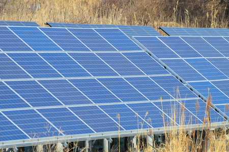 Solar panel ,Photovoltaic modules for innovation green energy for lifeの写真素材