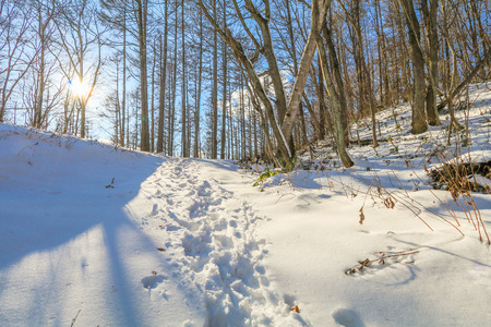 Beautiful fresh snow in winter around the mountains  Lake ,and tree  with blue sky  background, Nagano Prefecture, Japan.の写真素材