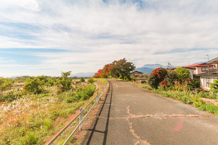 Japan autumn , Beautiful autumn leaves of Obuse park ,Nagano Prefecture,Japan.の写真素材