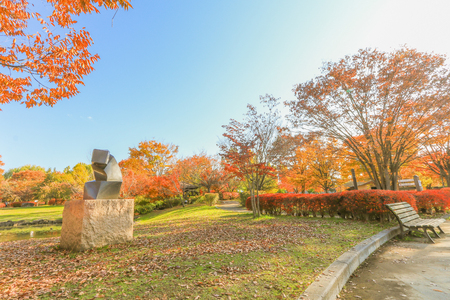 Japan autumn , Beautiful autumn leaves of Obuse park ,Nagano Prefecture,Japan.の写真素材