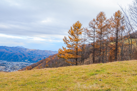 Beautiful landscape view of  autumn leaves in Hakuba, Nagano Prefecture Japan.の写真素材