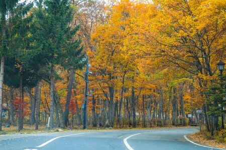 Beautiful landscape view of  autumn leaves in Hakuba, Nagano Prefecture Japan.の写真素材
