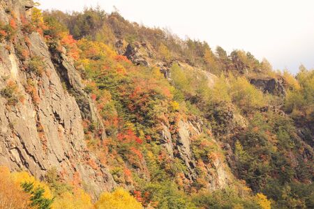 Beautiful  view of Japan autumn in Obuse park ,Nagano Prefecture,Japan.の写真素材
