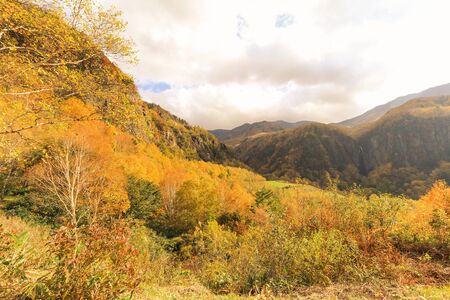 Beautiful  view of Japan autumn in Obuse park ,Nagano Prefecture,Japan.の写真素材