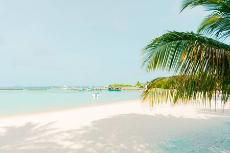 Amazing island in the Maldives ,water villa ,white sandy beach  and beautiful  turquoise waters with  blue sky  background for holiday vacation .の写真素材