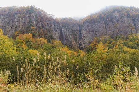 Beautiful  view of Japan autumn in Obuse park ,Nagano Prefecture,Japan.の写真素材