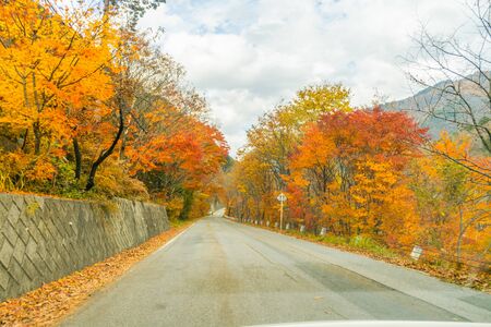 Beautiful autumn leaves of  Takase in omachi district, Nagano PrefectureJapan.の写真素材