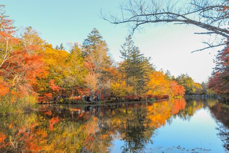 Beautiful Japan autumn at Kumoba Pond or Kumoba ike of Karuizawa ,Nagano Prefecture Japan.の写真素材