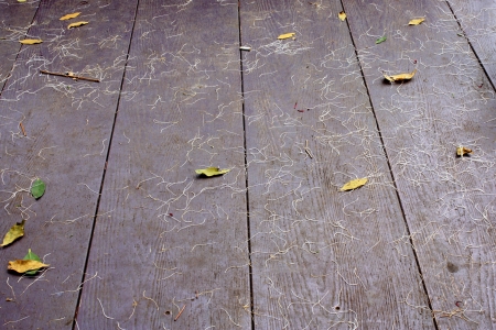 Dirty floorの写真素材