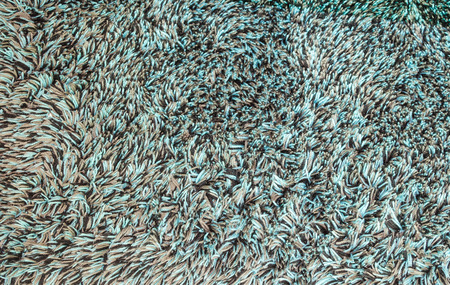 carpet. Background. Textile texture.の写真素材