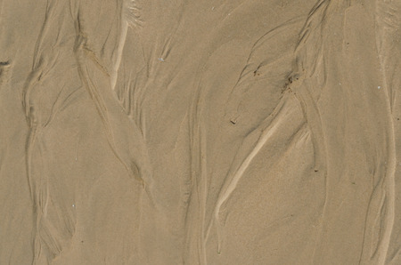 Abstract sand texture caused by water flowの写真素材
