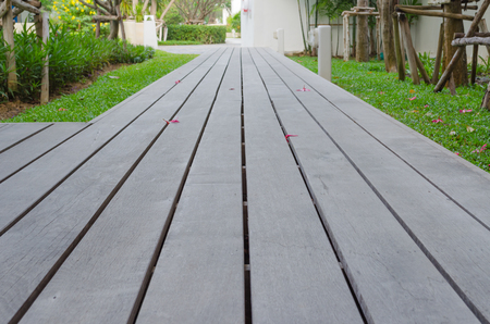 walkway on the grassの写真素材