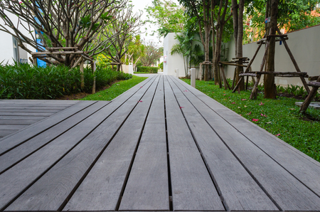walkway on the grassの写真素材