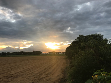 Sunset at fieldの写真素材