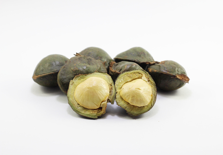 Archidendron pauciflorum or Niang isolated on white background, Jenkol or Jeringの写真素材