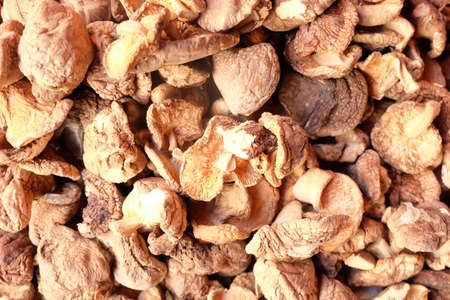Dried Shiitake Mushroom, Lentinula edodes, Mushroom texture backgroundの写真素材