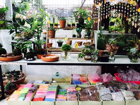 Natural shop with plant, mobile and science soilの写真素材