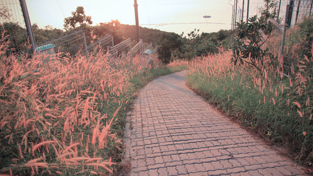 Koh Larn Islandの写真素材