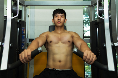 Fitness man in training showing exercises with exercise-machine in gym, fitness concept, sport conceptの写真素材