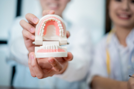 dentist doctor in white uniform holding teeth model, medical concept