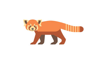Asian native animal Red Panda (Ailurus fulgens) side angle view, flat style vector illustration isolated on white backgroundのイラスト素材