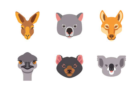 Portrait collection of australian wild animal isolated on white background flat vector illustrationのイラスト素材