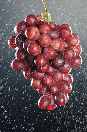 Pink grapes with water ripplesの写真素材