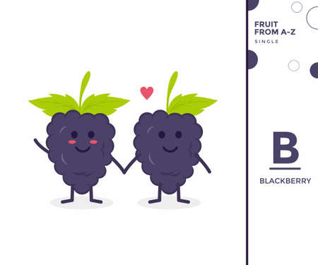 Fruit from A-Z ,B Edition, - blackberry illustration vectorのイラスト素材