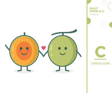 Fruit from A-Z ,C Edition, - cantaloupe illustration vectorのイラスト素材