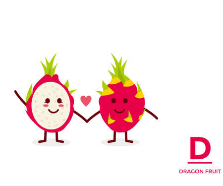 Fruit from A-Z ,D Edition, - dragonfruit illustration vectorのイラスト素材