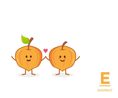 Fruit from A-Z ,E Edition, - eggfruit illustration vectorのイラスト素材