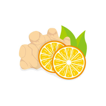 Orange lemon with ginger and green leaf illustration vectorのイラスト素材