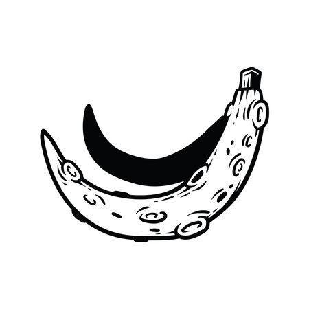 banana fruit icon over white background, line style, vector illustrationのイラスト素材
